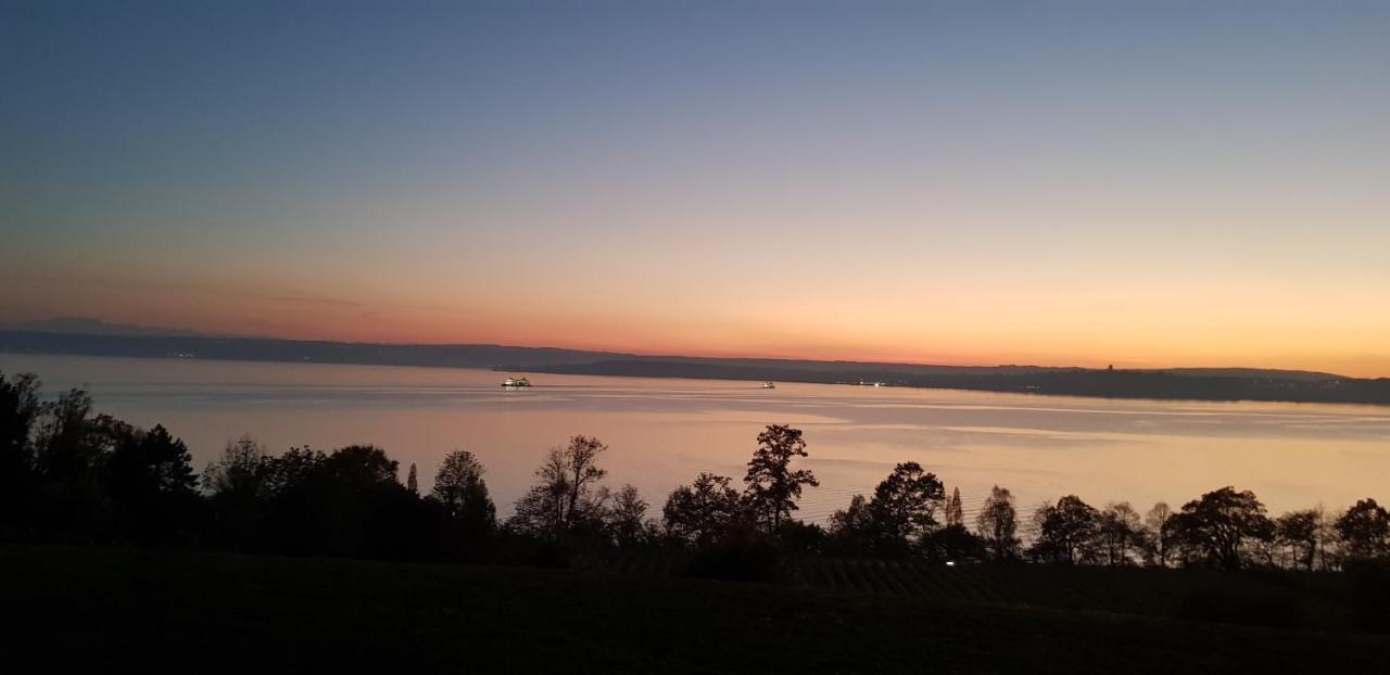 Lakeview Penthouse Meersburg Exterior photo
